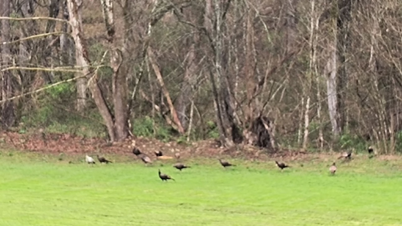 Photo of Others in Del Rio