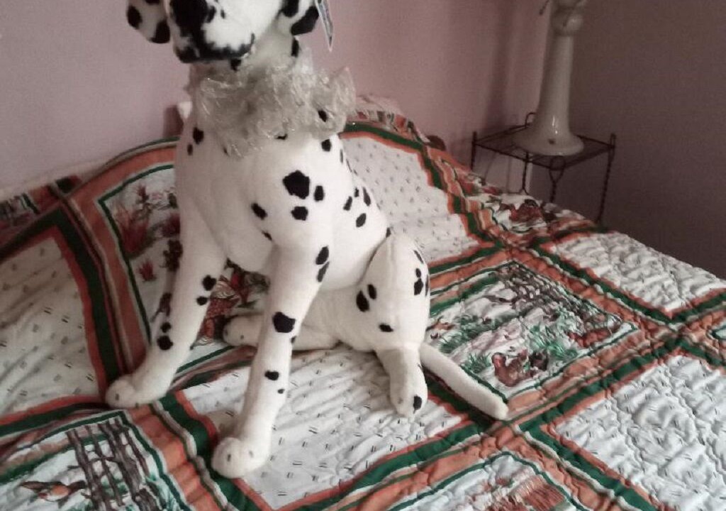 Photo of Bedroom in Crocketville