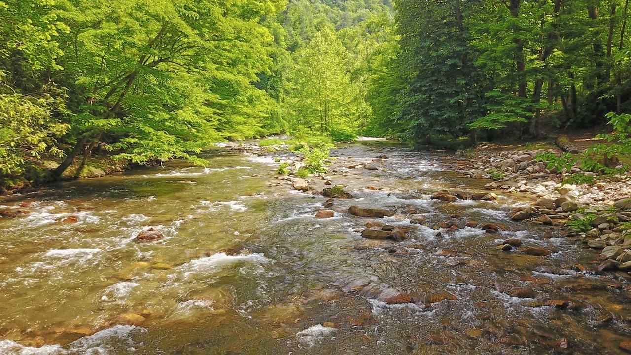 Photo of Others in Hot Springs
