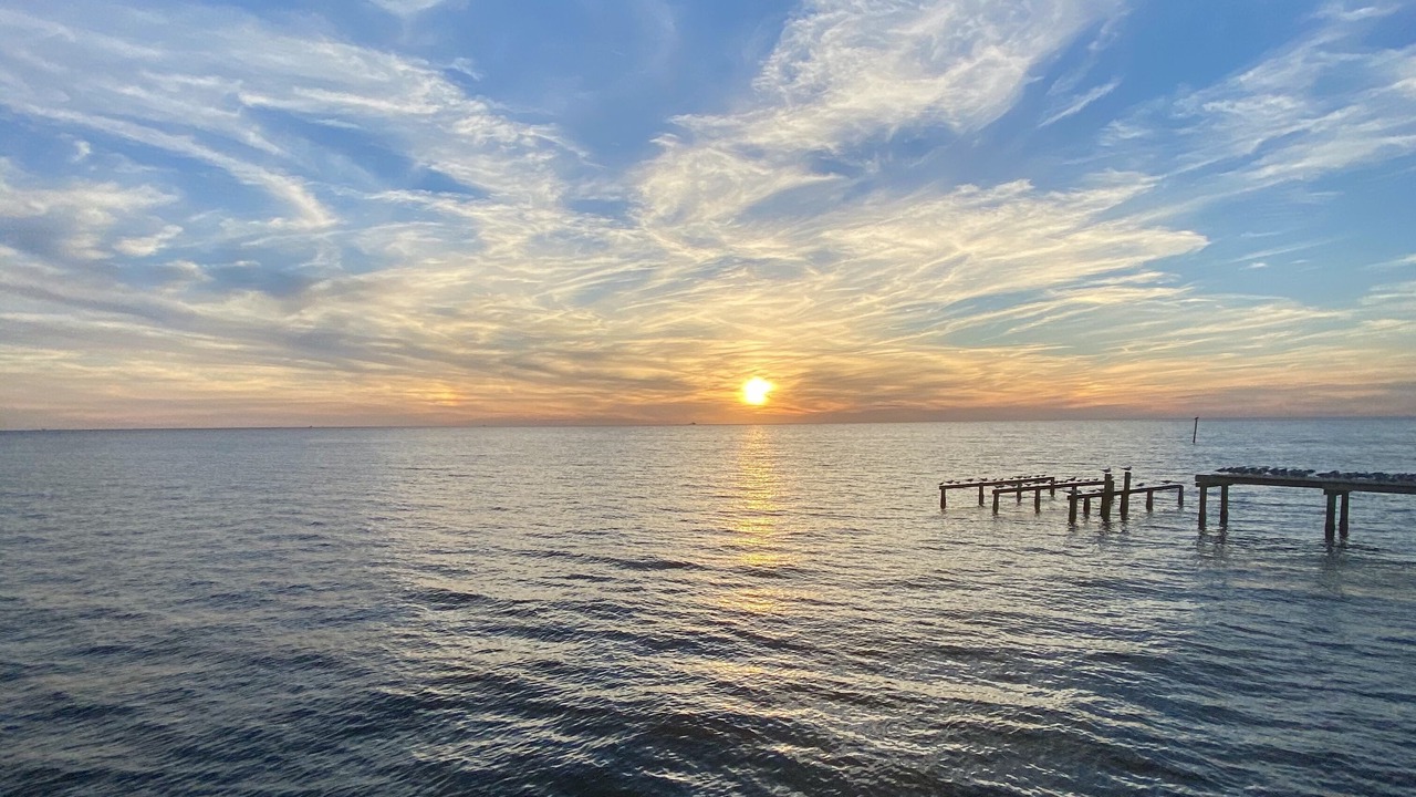 Photo of Others in Fairhope