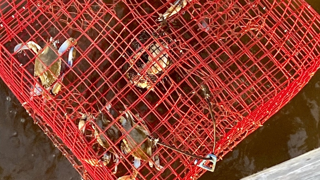 Photo of Others in Fairhope