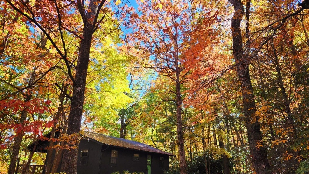 Photo of Outdoor in Lake Toxaway