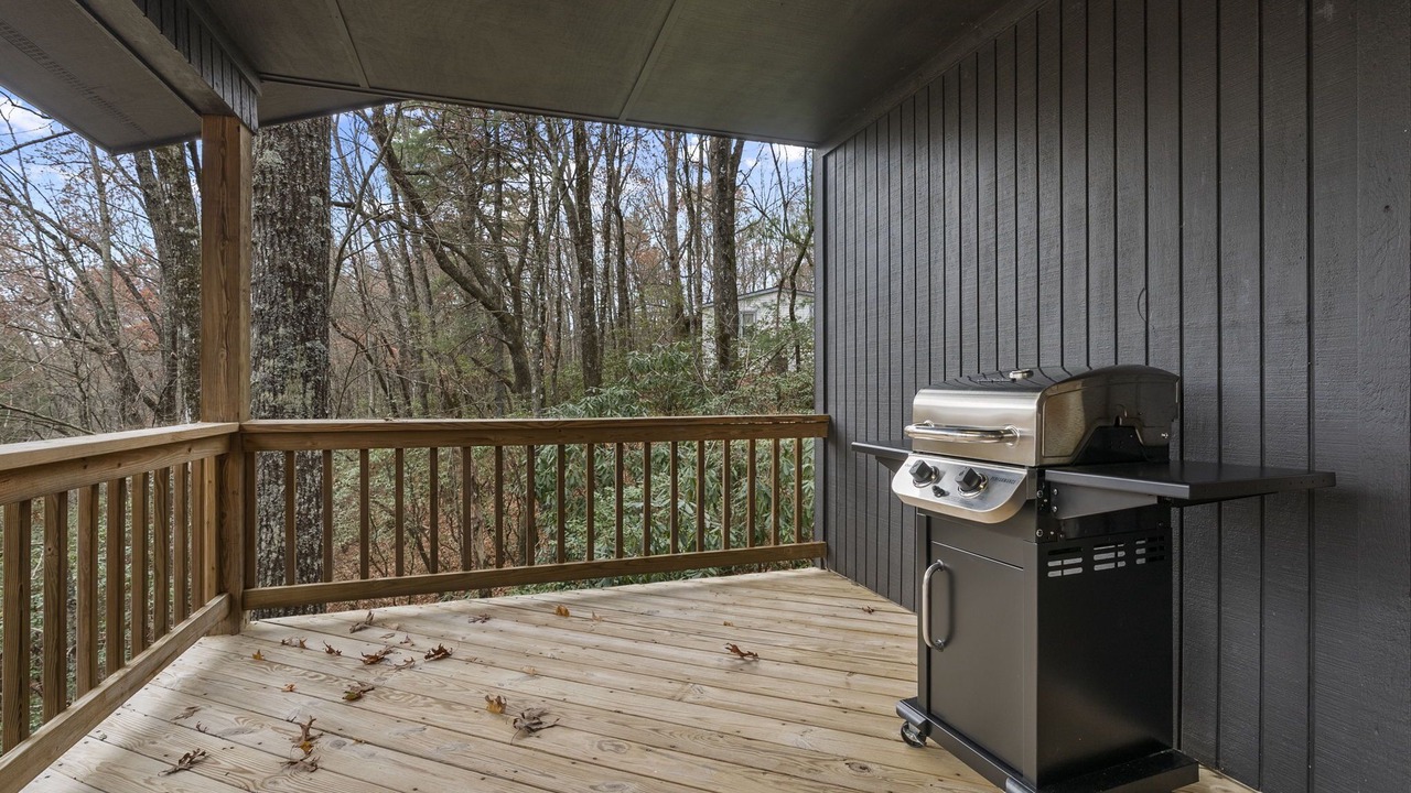 Photo of Outdoor in Lake Toxaway
