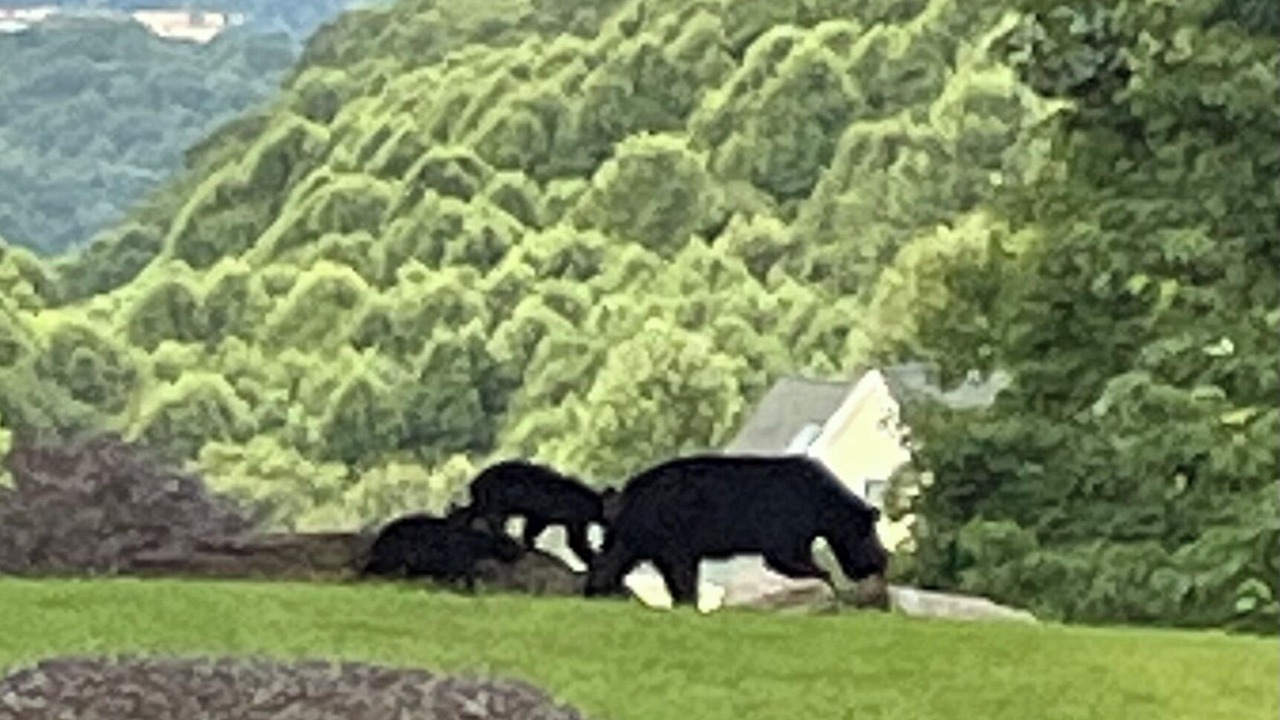 Photo of Others in Settlers Ridge