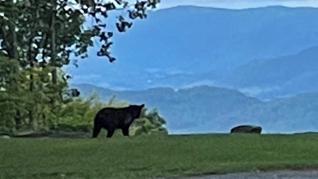 Photo of Others in Settlers Ridge