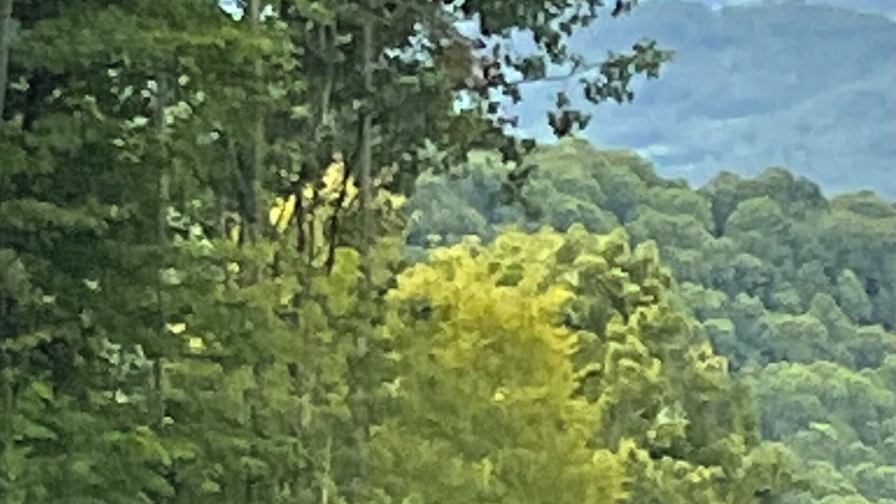 Photo of Others in Settlers Ridge