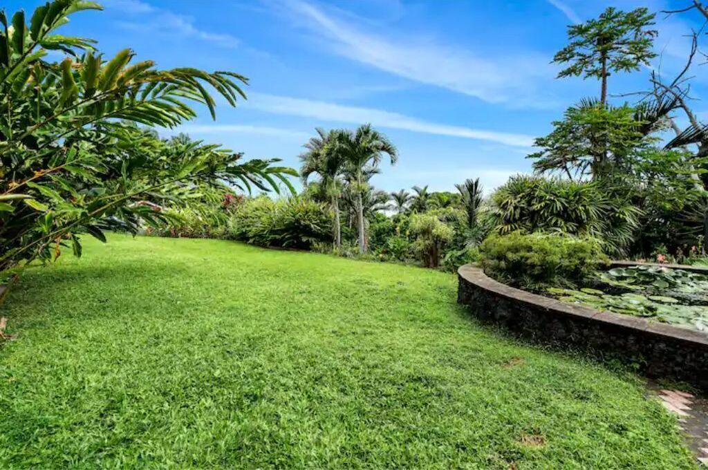 Photo of Outdoor in Captain Cook