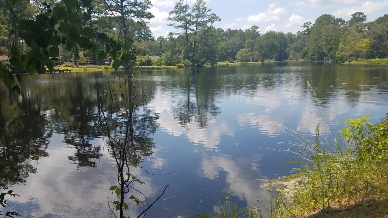 Photo of Outdoor in Ridgeland