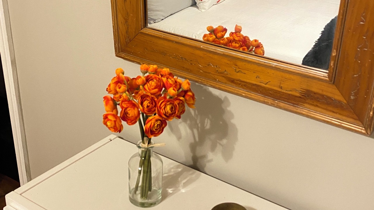 Photo of Bedroom in Macon