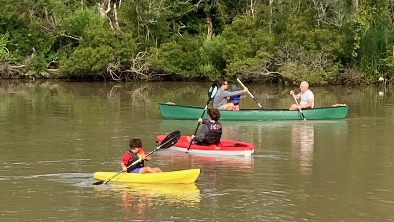Photo of Others in Foley
