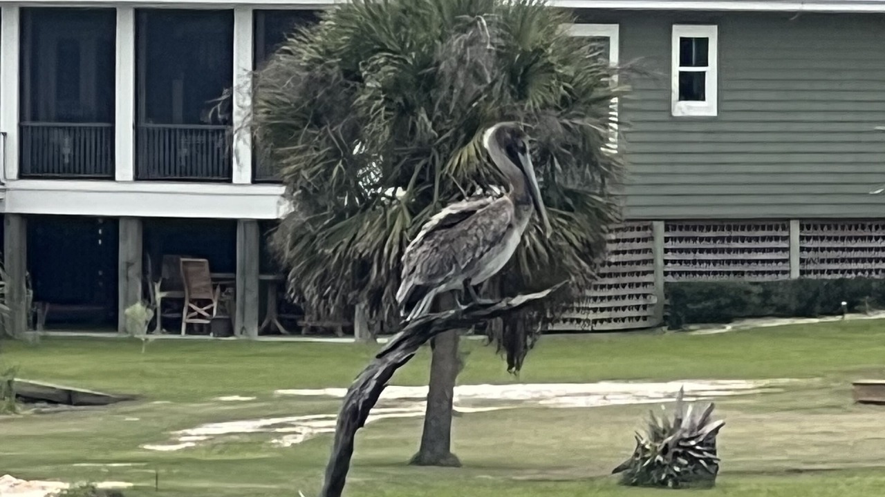Photo of Patio Balcony in Foley