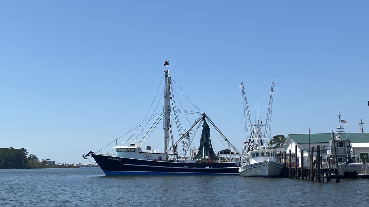 Photo of Others in Foley
