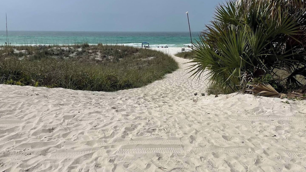 Photo of Others in Laguna Beach