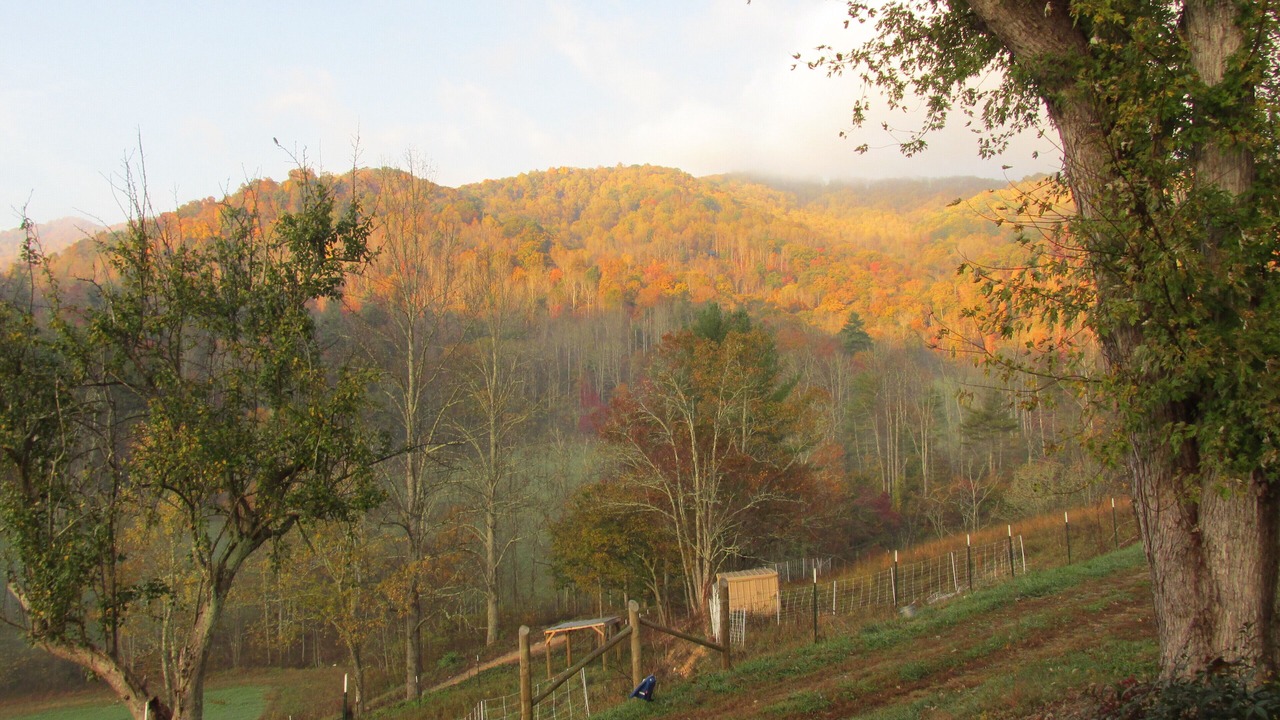 Photo of Outdoor in Marshall