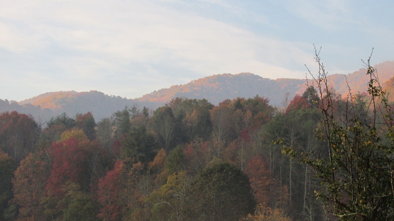 Photo of Others in Marshall