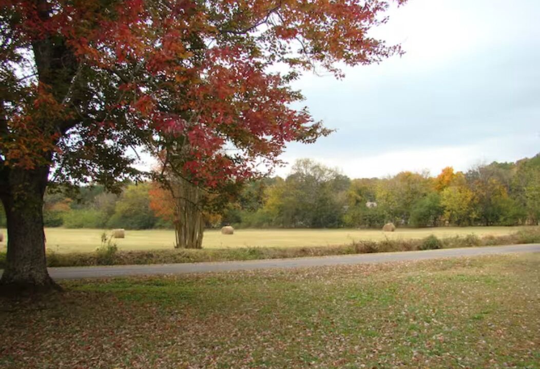 Photo of Outdoor in Section