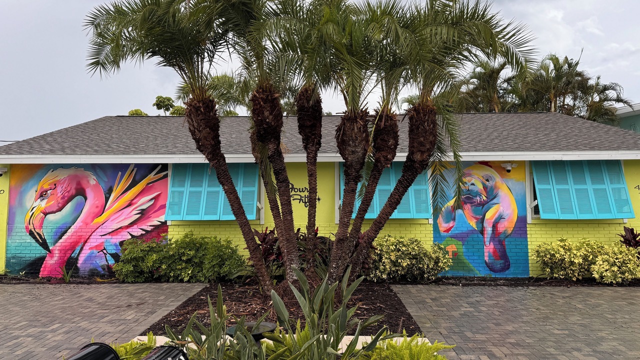Photo of Outdoor in Madeira Beach