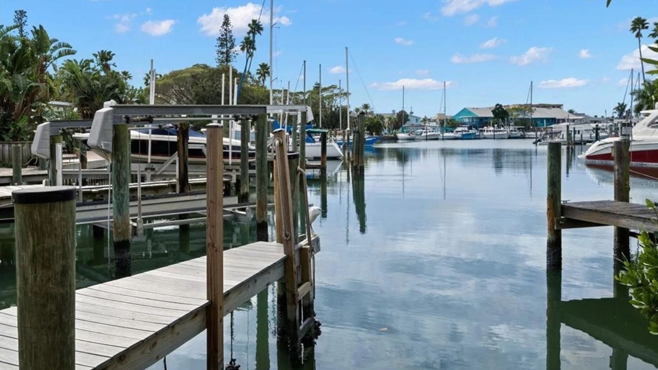 Photo of Outdoor in Madeira Beach
