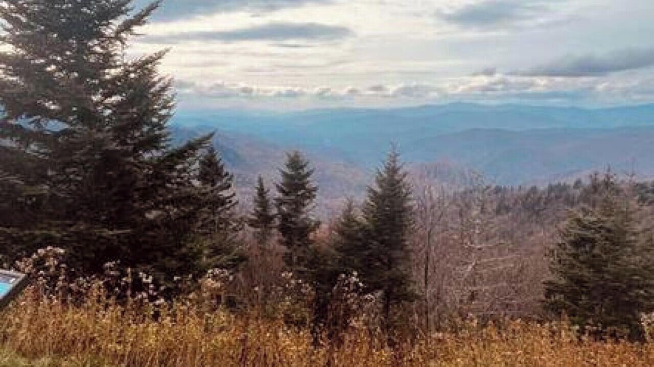 Photo of Others in Maggie Valley