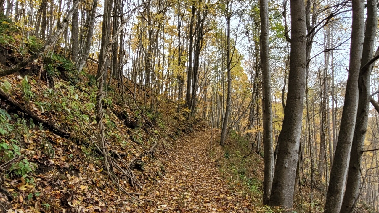 Photo of Others in Marshall
