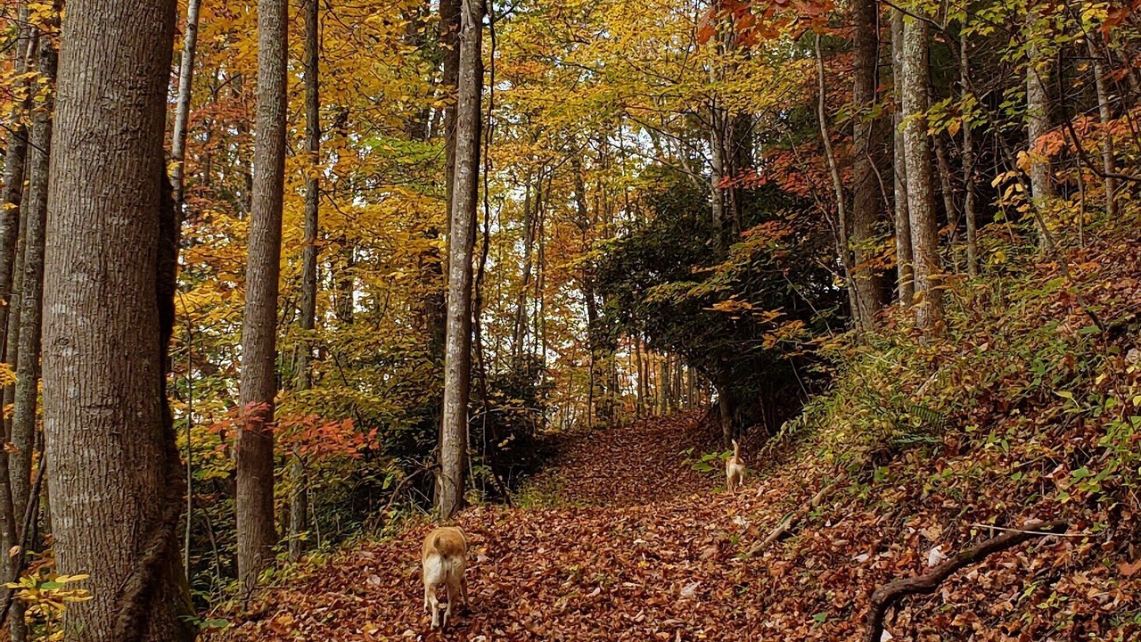 Photo of Others in Marshall