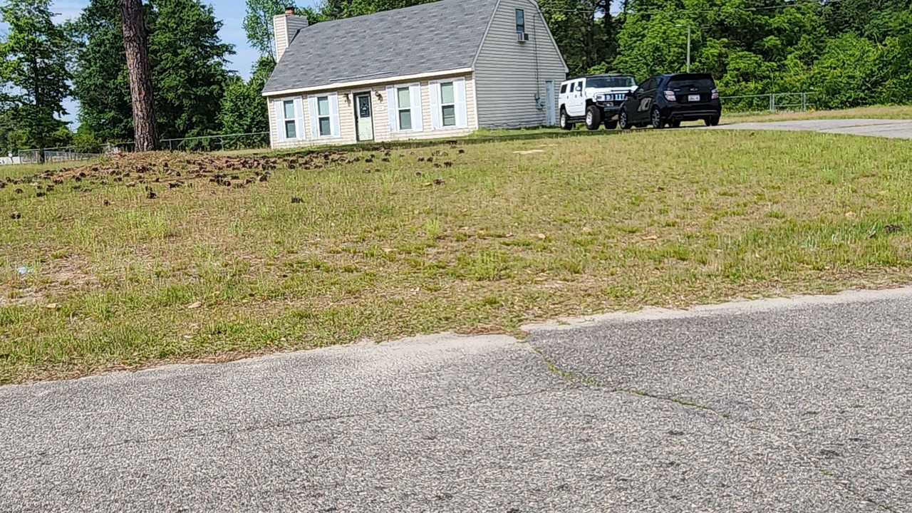 Photo of Others in Gracewood