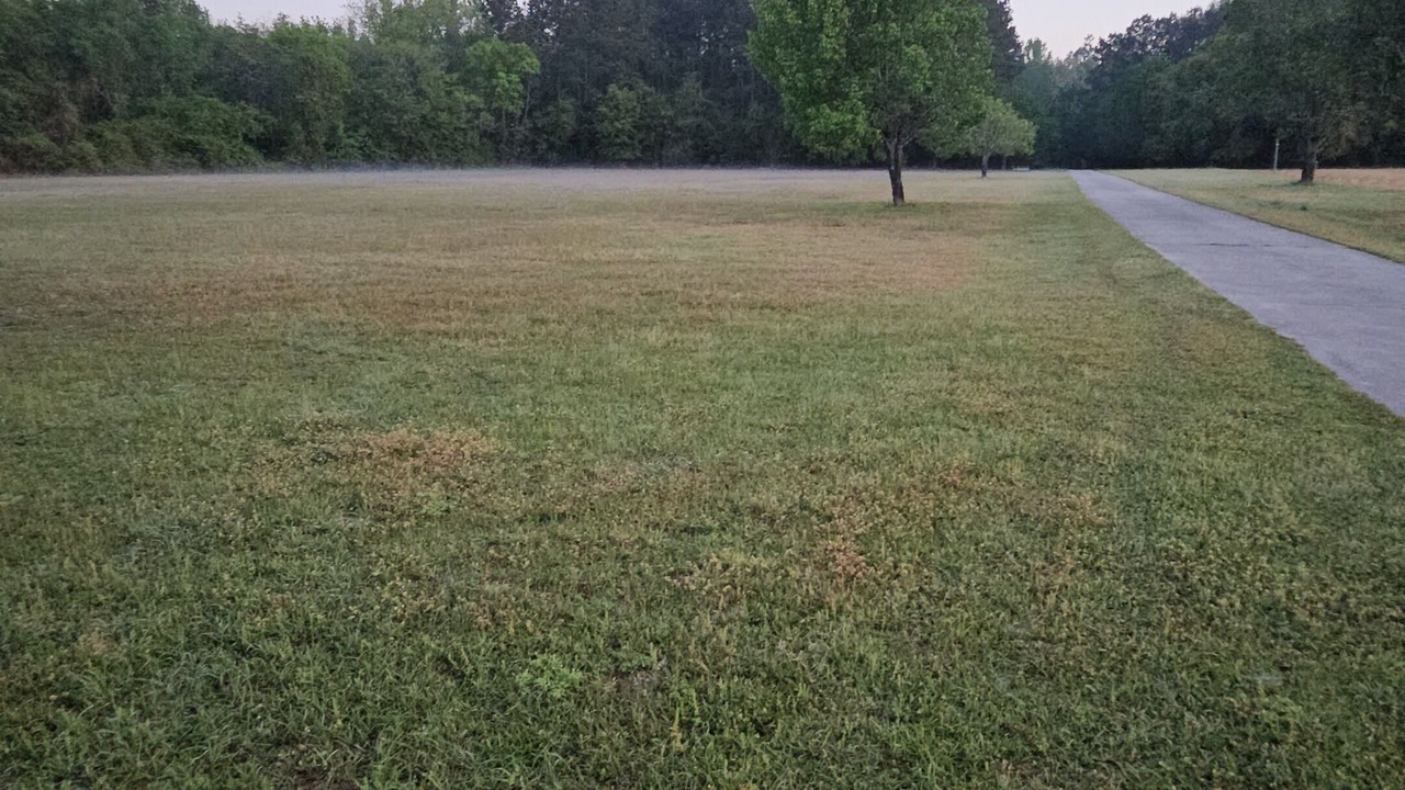 Photo of Others in Orangeburg County