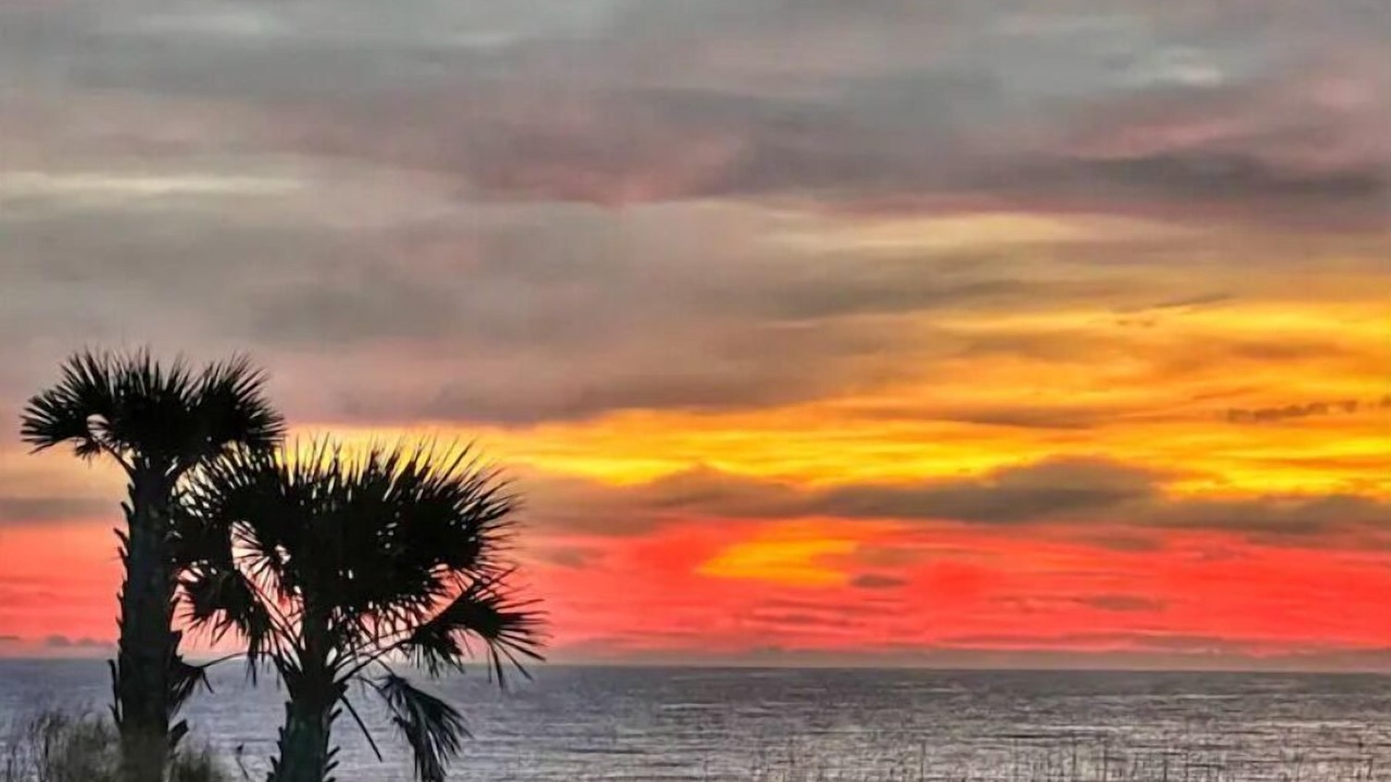 Photo of Others in Jekyll Island