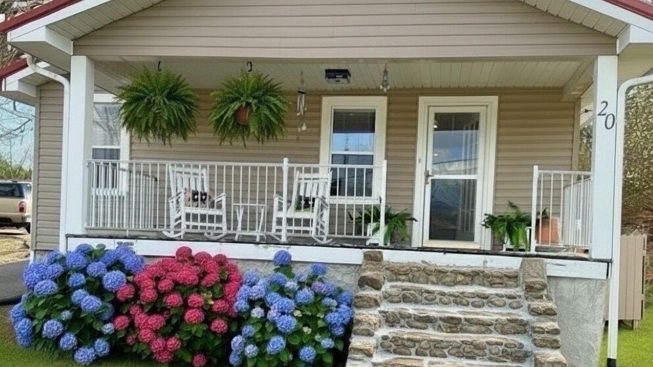 Photo of Outdoor in Woodfin