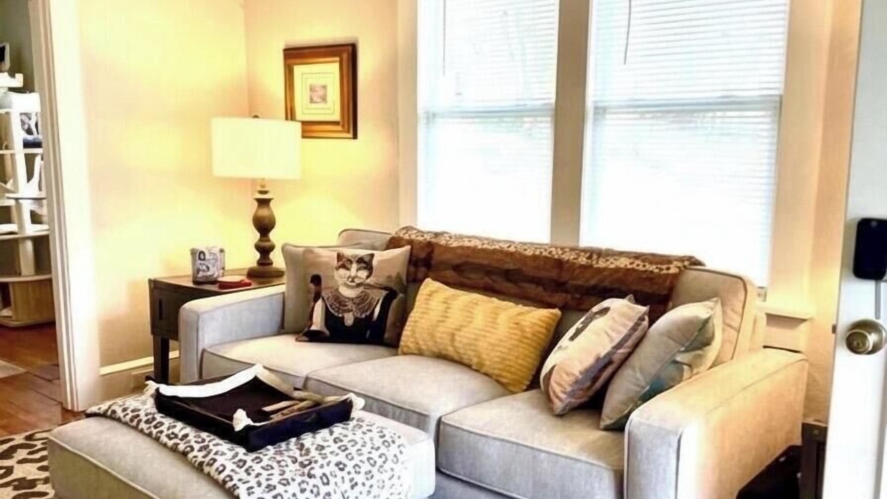 Photo of Livingroom in Woodfin