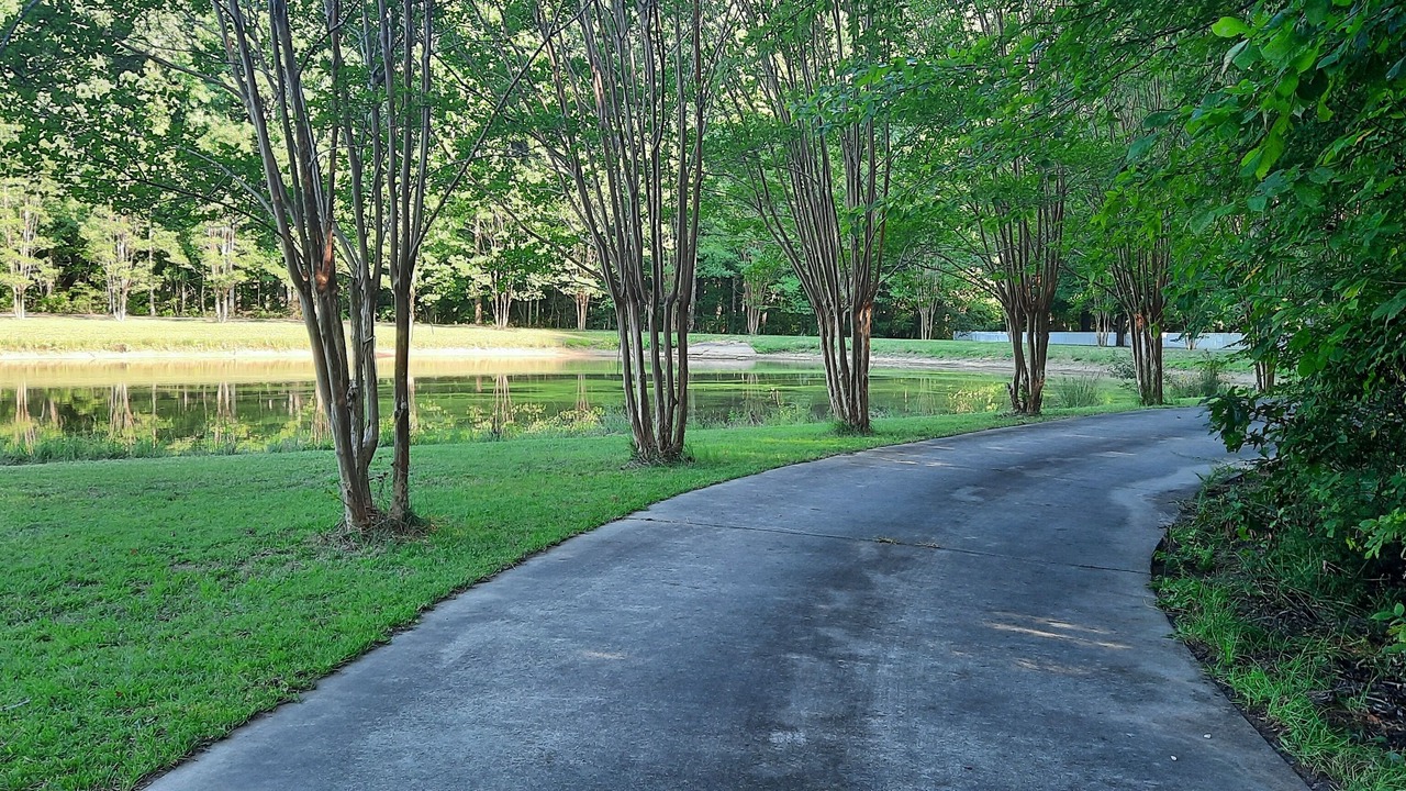 Photo of Outdoor in York
