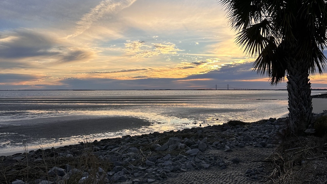 Photo of Others in Saint Simons Island
