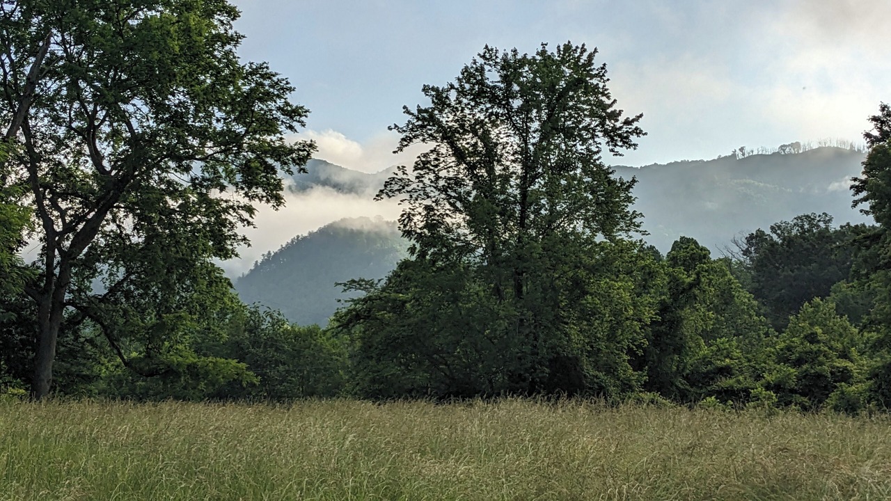 Photo of Outdoor in Hot Springs