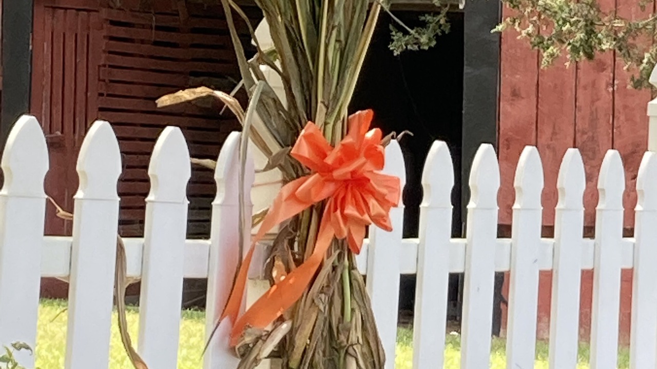 Photo of Outdoor in Kodak