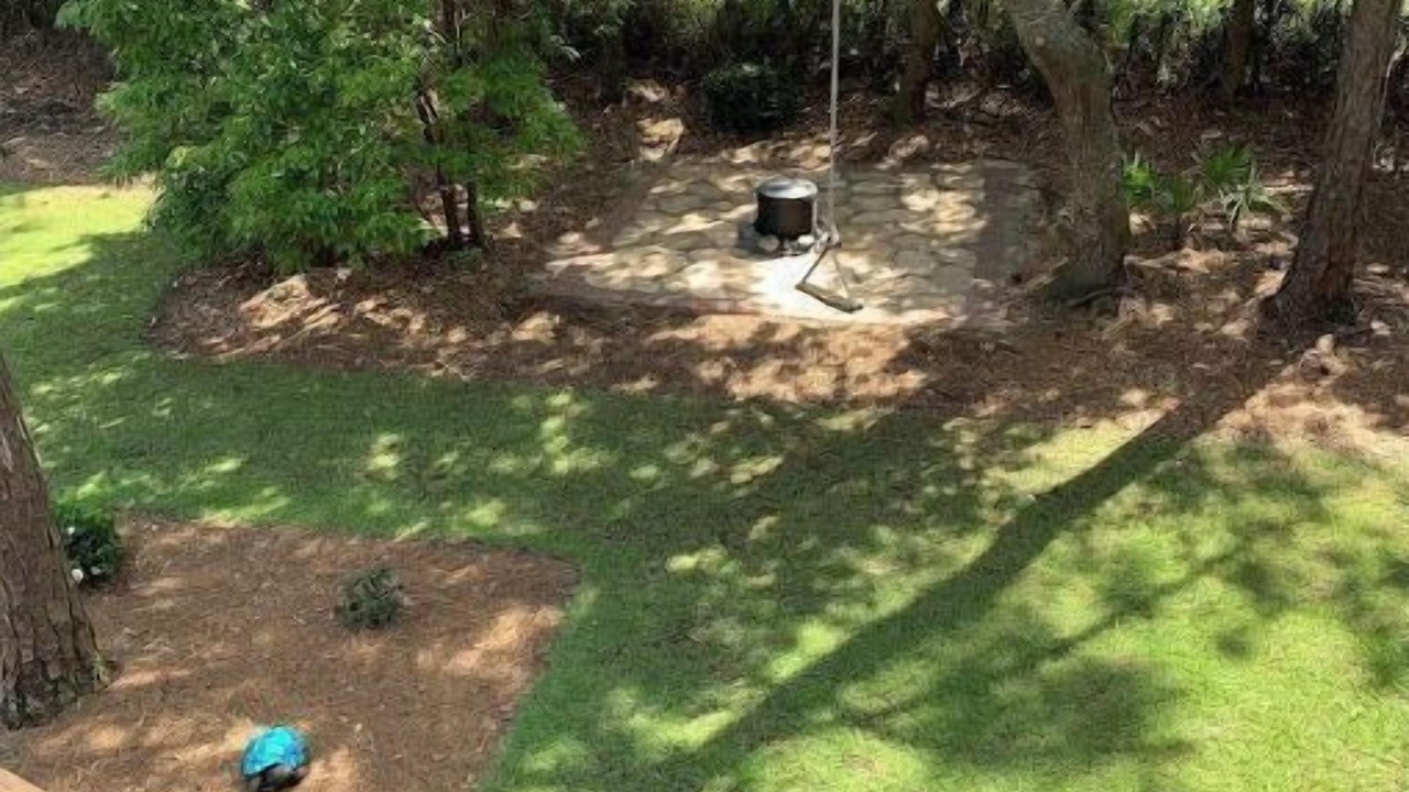 Photo of Outdoor in Dauphin Island