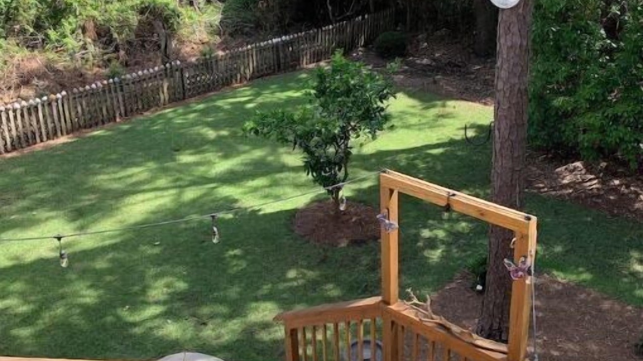 Photo of Outdoor in Dauphin Island
