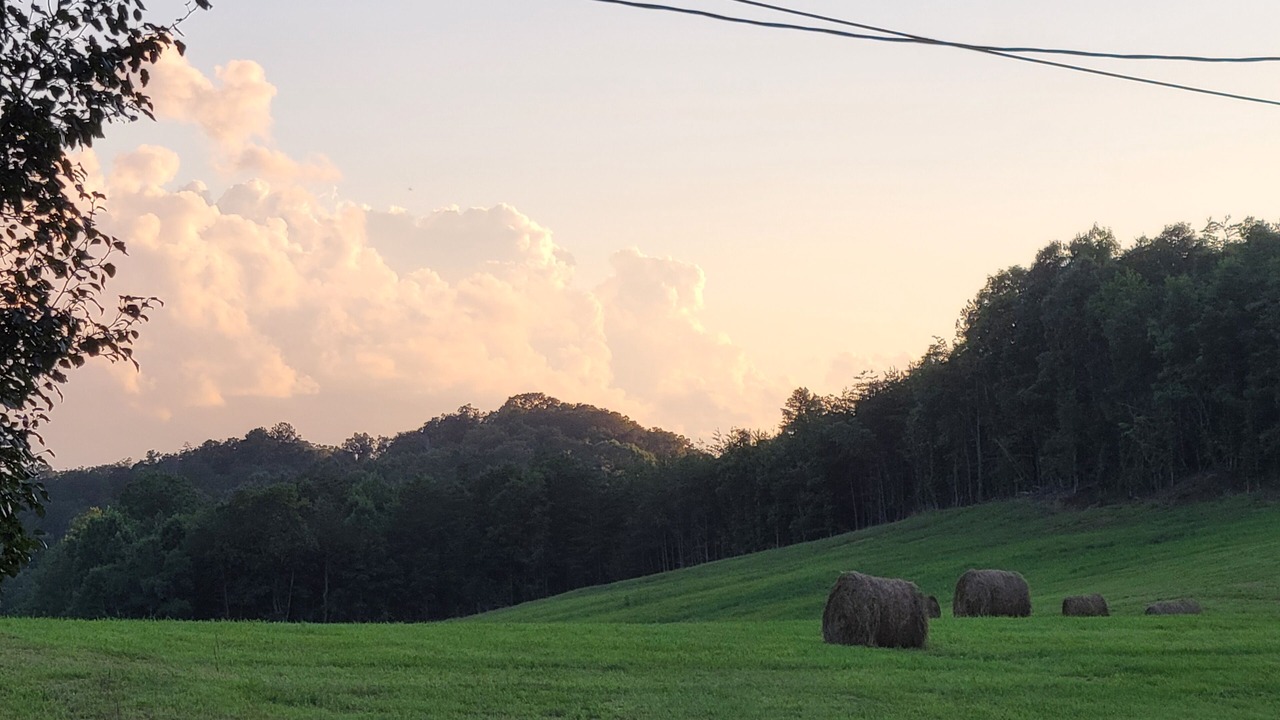Photo of Outdoor in Dandridge