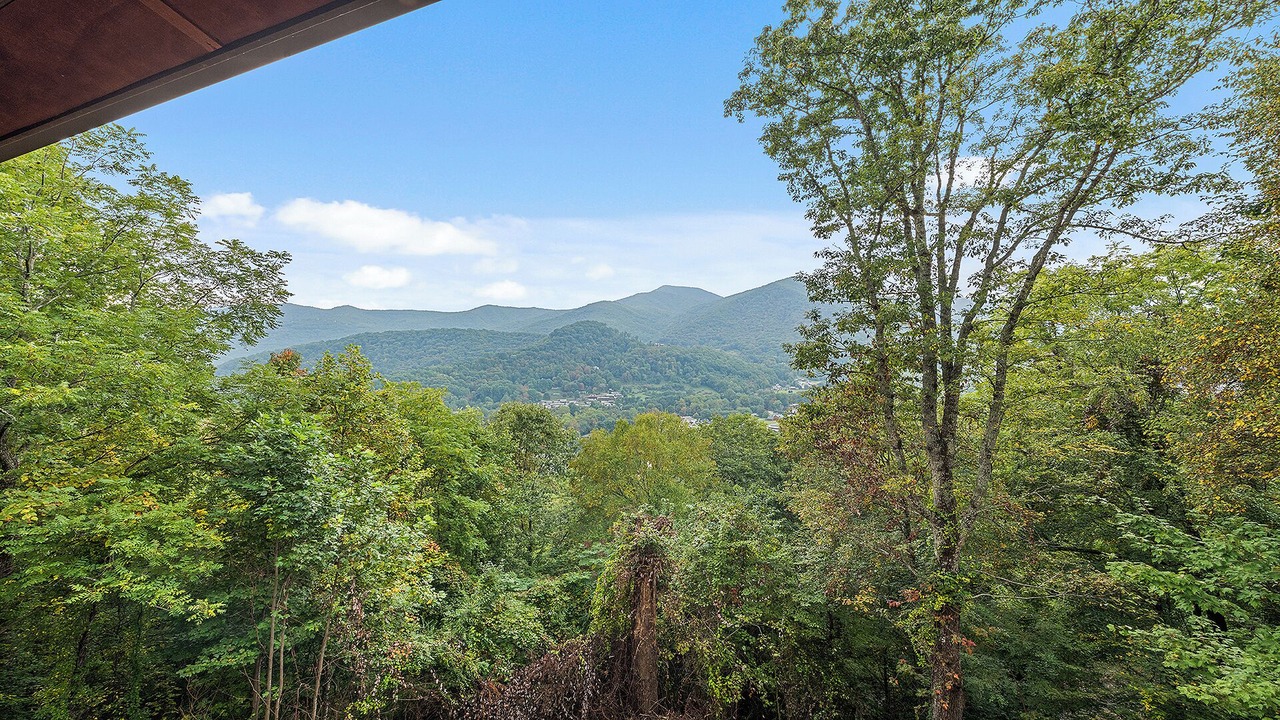Photo of Others in Maggie Valley