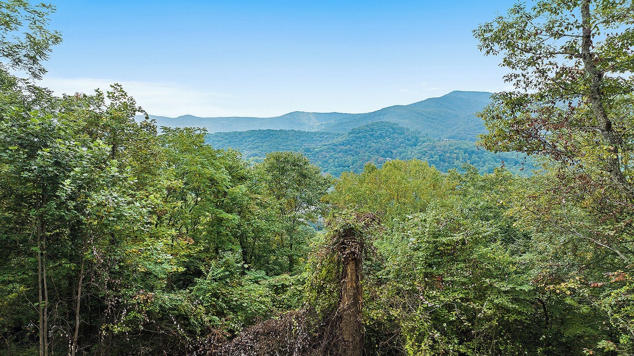 Photo of Others in Maggie Valley