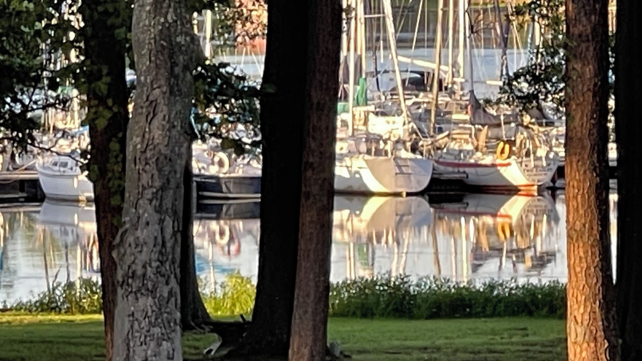 Photo of Others in Guntersville