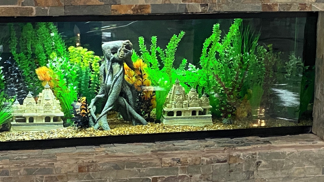 Photo of Others in Addison Heights