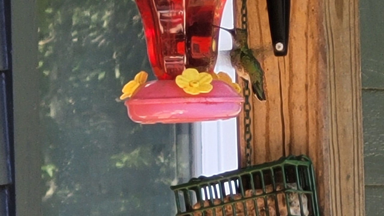 Photo of Others in Blairsville