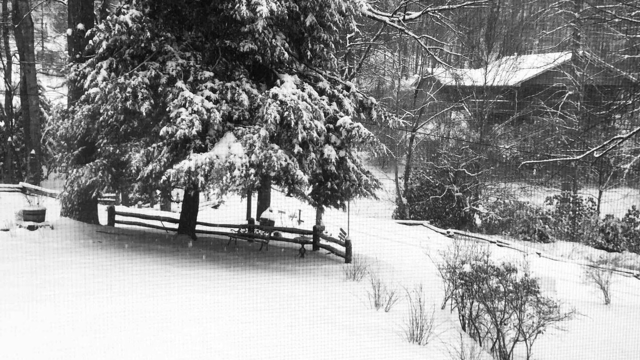 Photo of Others in Waynesville