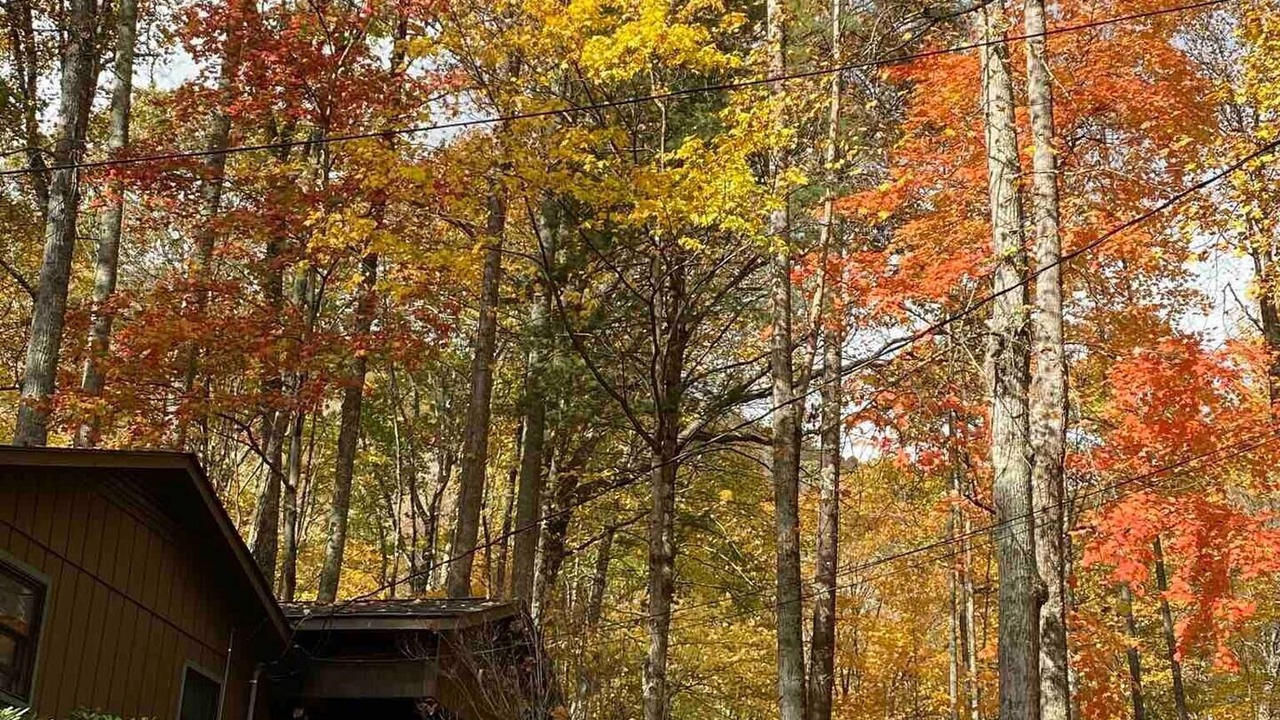 Photo of Outdoor in Waynesville