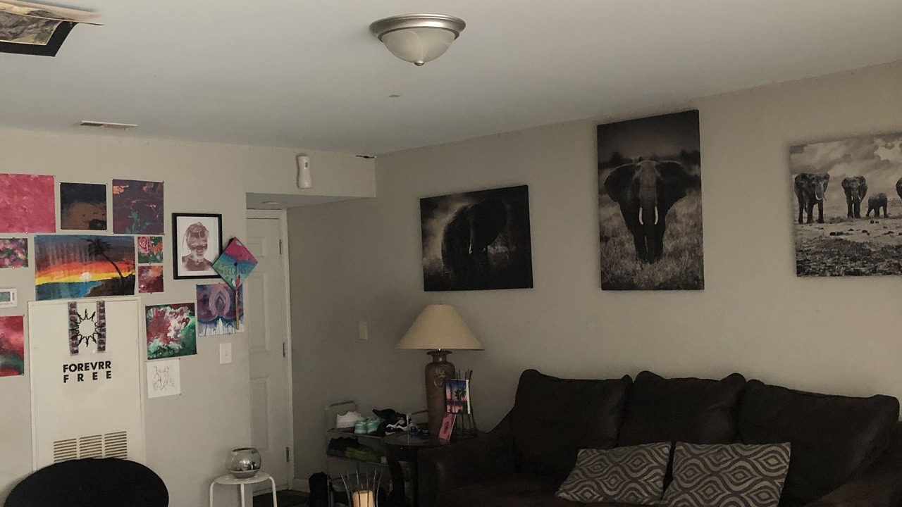 Photo of Livingroom in Decatur