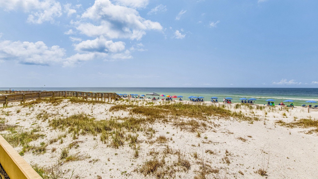 Photo of Others in Orange Beach East