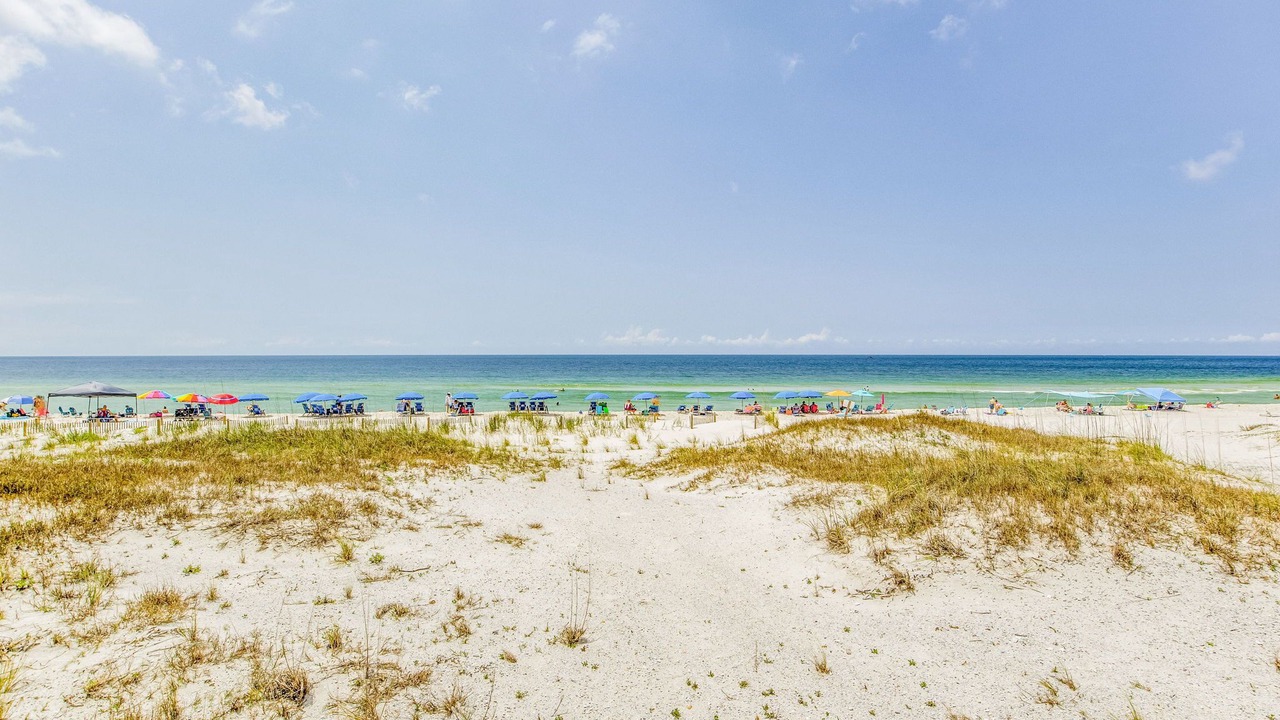Photo of Others in Orange Beach East