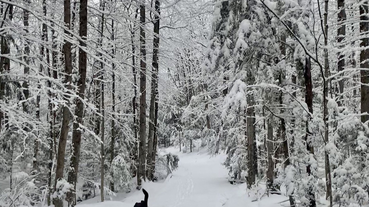 Photo of Outdoor in Cavendish