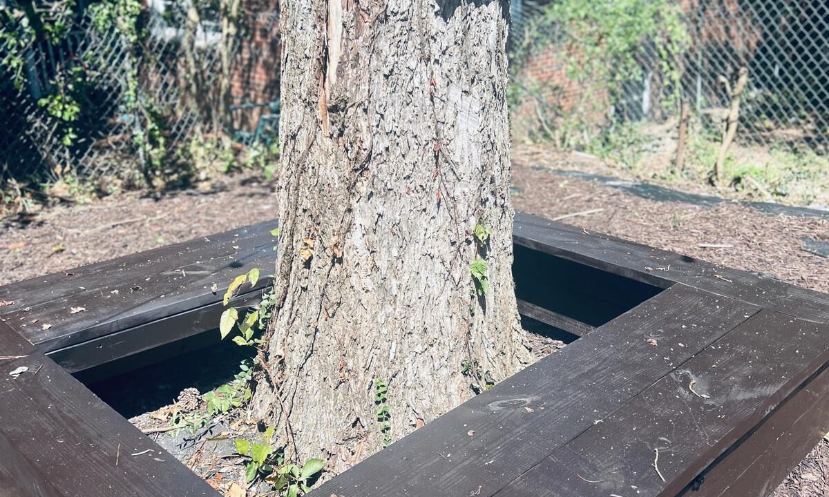 Photo of Outdoor in Atlanta