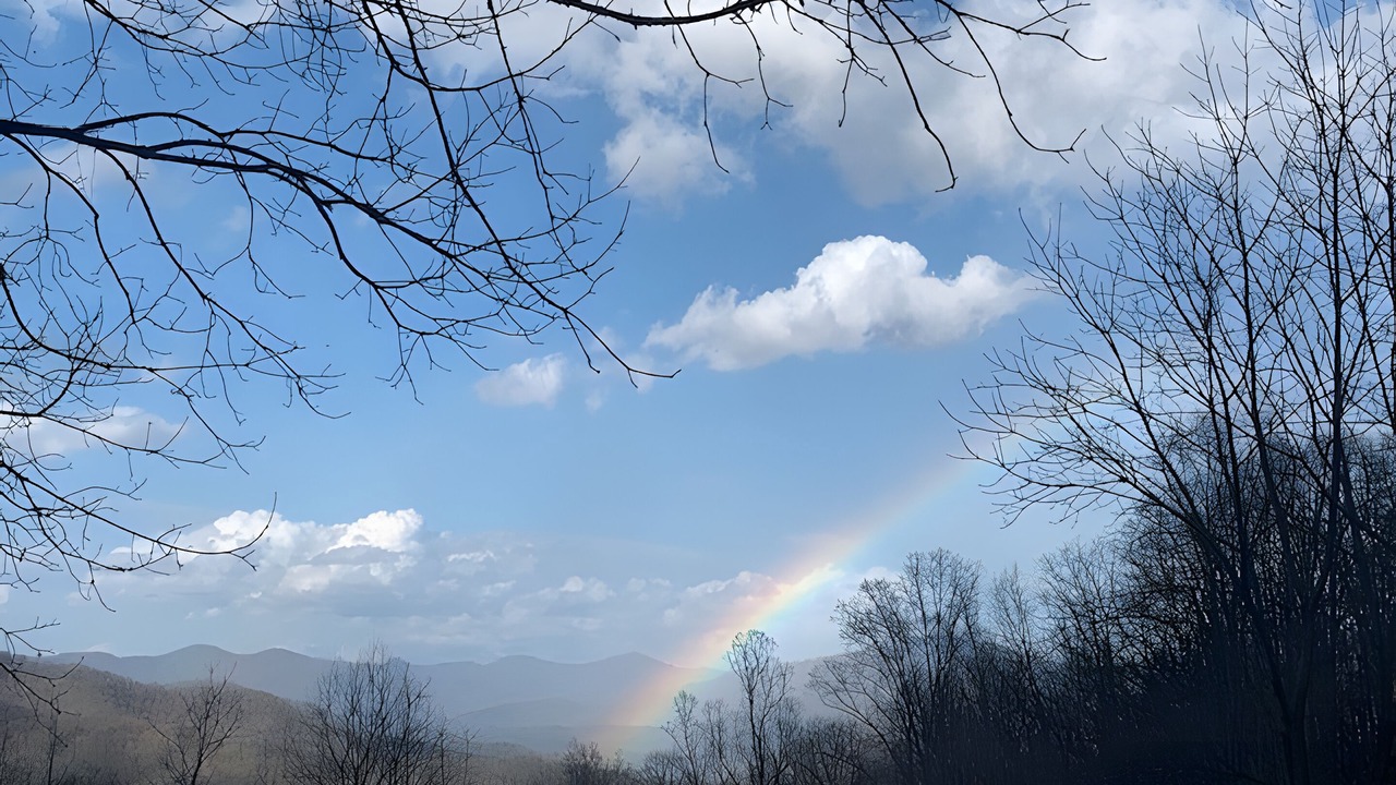 Photo of Others in Waynesville